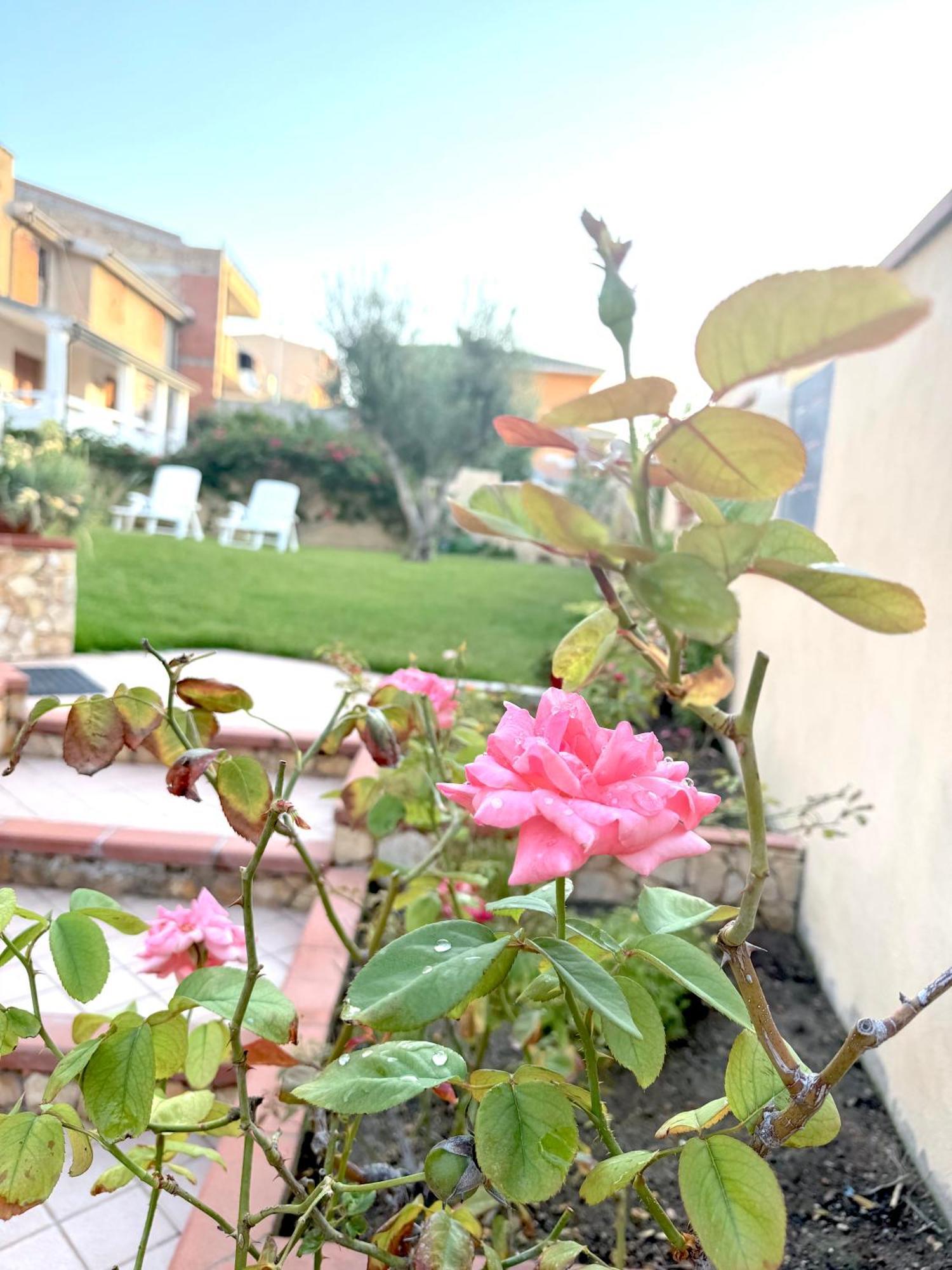 Rosa'S House - Zona Ospedaliera Cagliari Exterior foto